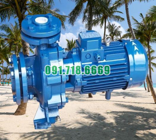 Giá bán bơm li tâm trục ngang đường thoát đầu vào ra Dn65 model CM40-160B