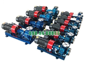 Máy bơm dầu truyền nhiệt RY20-20-125 công suất 0.75 kW, lưu lượng 1.5 m3/h, tốc độ 2800 vòng/phút, cột áp 22 m